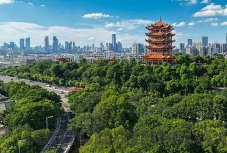 麻豆传媒是-媒体视角下的麻豆文化反思，创新与边界的微妙平衡