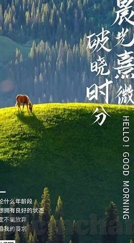 麻豆视频app官网下载安装-探寻新媒体娱乐的广阔天地——麻豆视频的下载与安装之旅